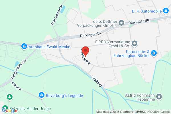 Reimann Dirk GmbH Kaminbau-, Fliesenleger- u. Maurermeister