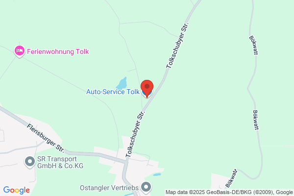 Krebs Michael Autoservice Tolk