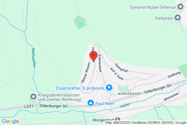 Friedhelm Wöll