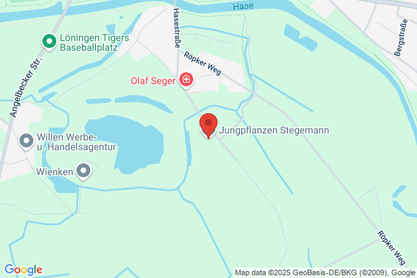 Stegemann