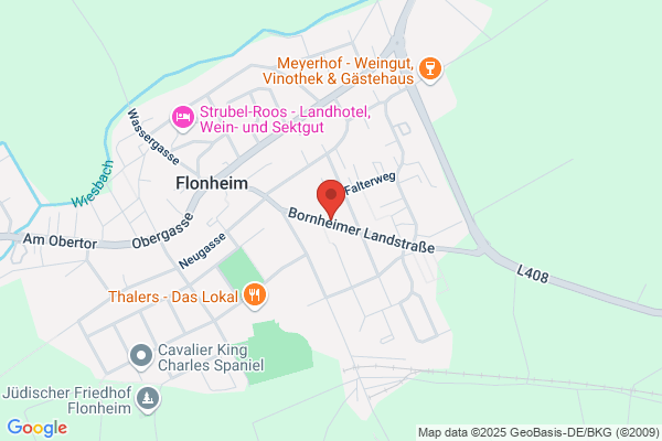 Familienservice Flonheim