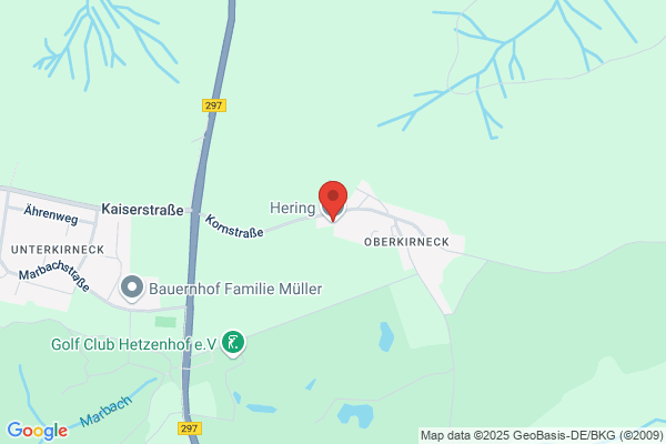 Hering