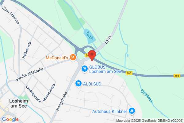 GLOBUS Waschstraße Losheim