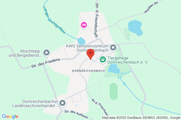 Julia Steude