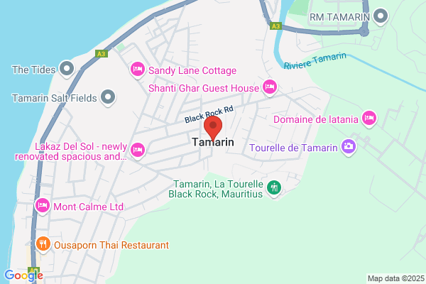 Tamarin