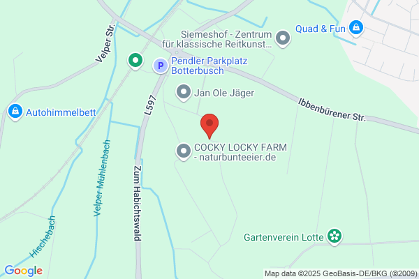 Botterbusch
