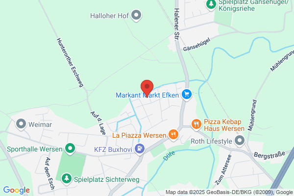 Lucie Hausfeld