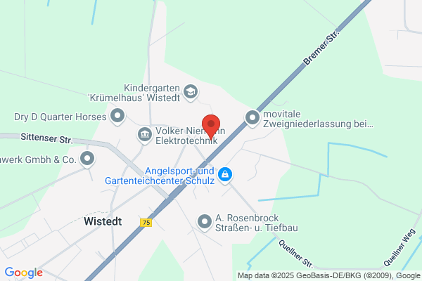 Erne Wille, Gönke