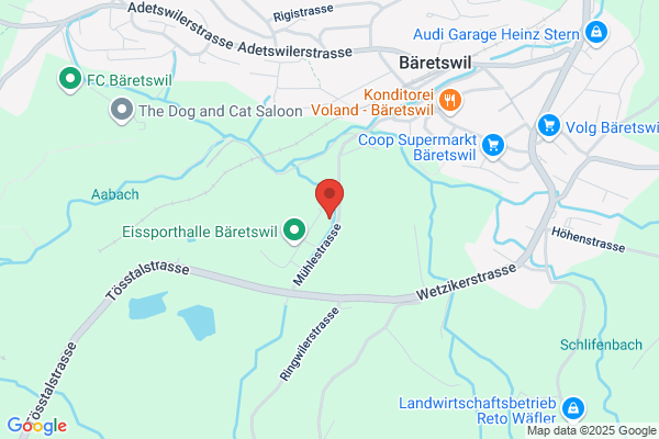 P. Ries GmbH - Absaugtechnik + industrielle Absauganlagen