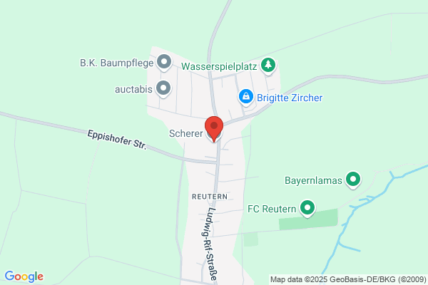 Scherer