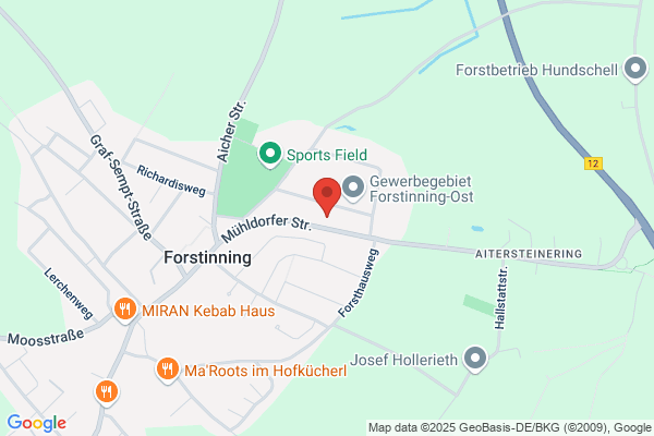 Werner Frisch