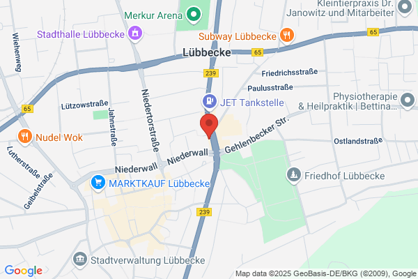 Steinmeier's Autoshop