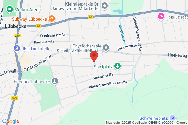 Elke Schmidt