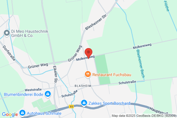 Friedl Showtechnic