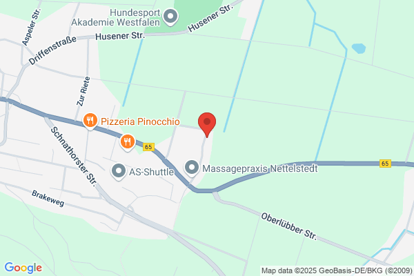 Hermann Ramm