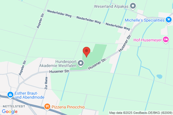 Tennisclub Nettelstedt