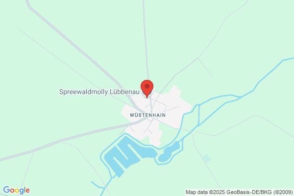 Lübbenauer Spreewaldmolly Rost/Kusig