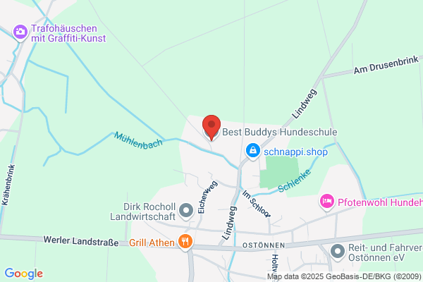 Best Buddies Hundeschule Meike Marsch