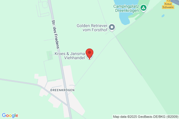 Kroes & Jansma Viehhandel GmbH