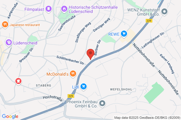 Autohaus Pflug Ppa. Ernst Pflug