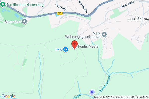 Fontis Media GmbH