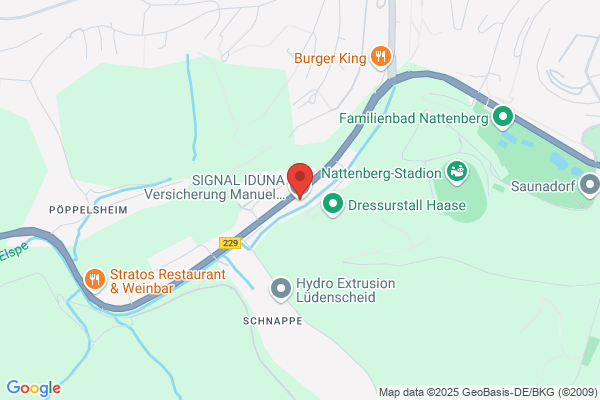 SIGNAL IDUNA Versicherung Manuel Buddenberg