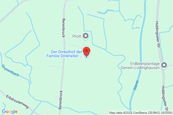 Stefan Dinkelborg