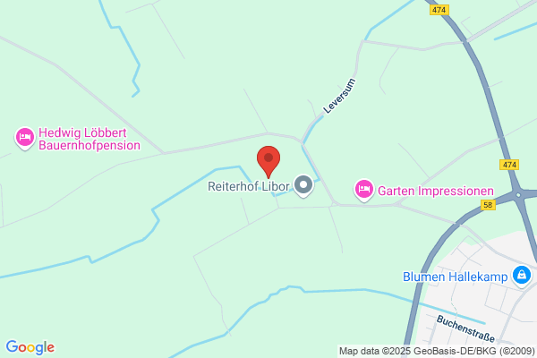 Reitschule - Manuela Freiesleben