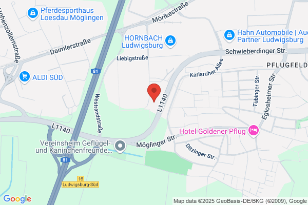 Budget Autovermietung - Ludwigsburg