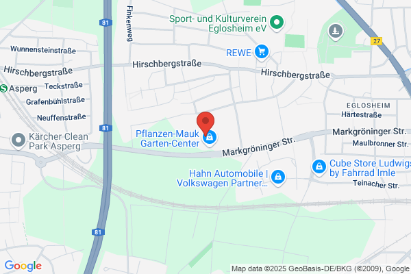 Blumen Kohler Floristik - Pflanzen - Wohndekor