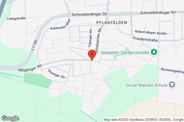 Bühler-Büromaschinen-Service GmbH