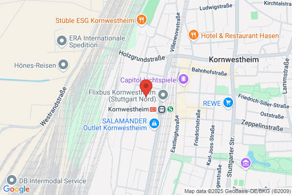 Cosmos Kultur und Mehr Taiyi und Qigong Schule