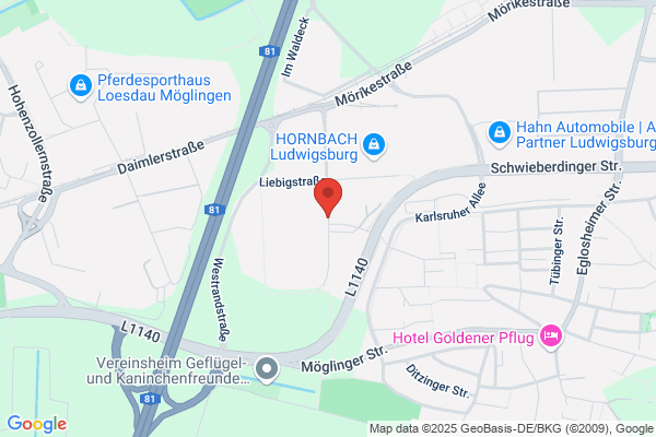 InManSys GmbH