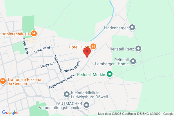 Nefzer