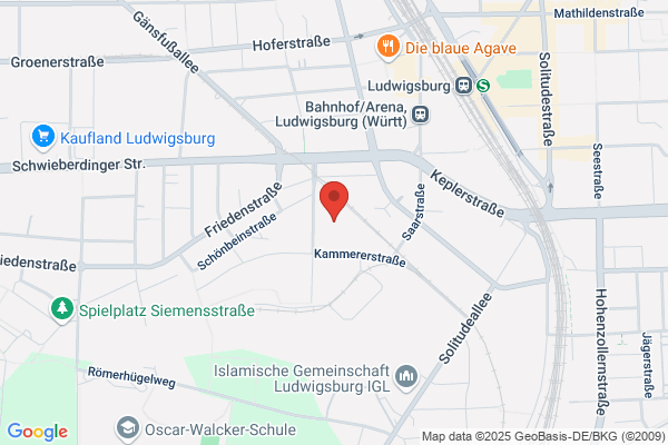 Vidirent-Videotheken