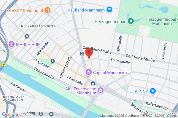 Home Instead (Mannheim)
