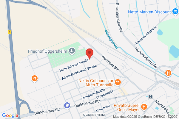 Die blauen Löwen e.V.