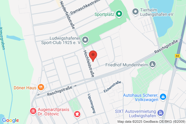 Mannheimer Helden Umzuege