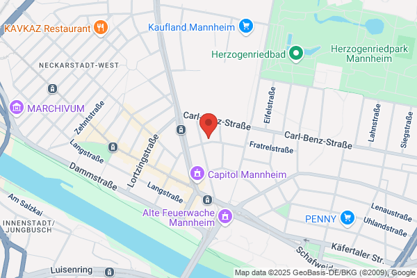 Das Übersetzernetzwerk Mannheim