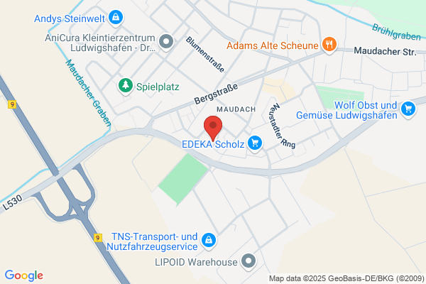 Mundenheimer Karnevalverein