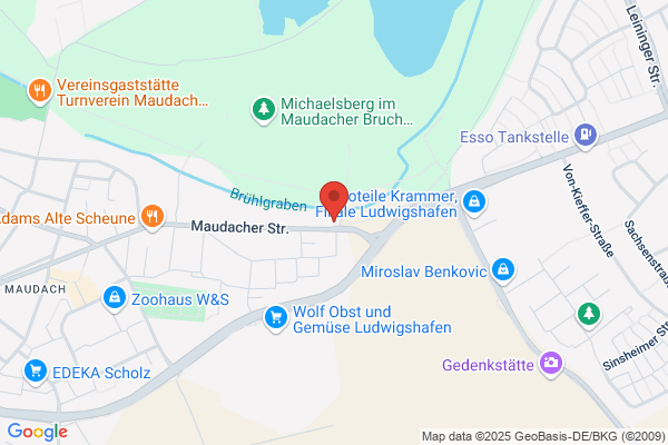 Verein f. Deutsche Schäferhunde (SV) e.V.Oggersheim 2001