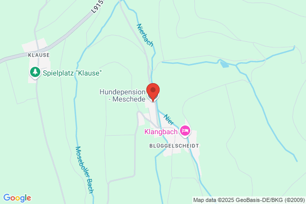 Hundebetreuung Hundepension