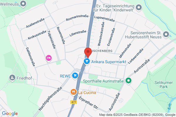Zum Froschkönig