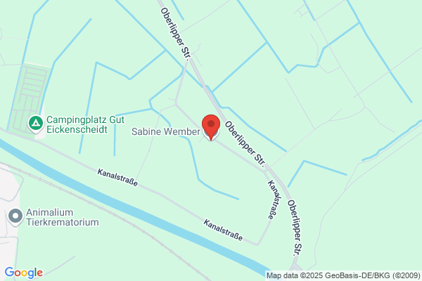 Sabine Wember
