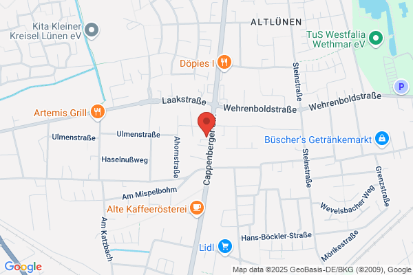 ANT Revision GmbH