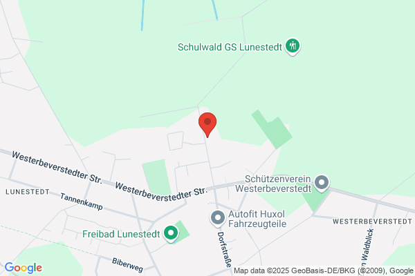 Taxi Weselau, Lunetaxi