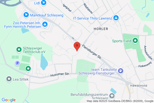 TaxEagle Hansen und