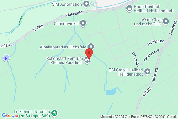 Schönstatt Mannesjugend