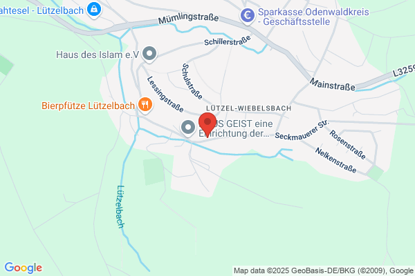 Musikschule Young Symphonics