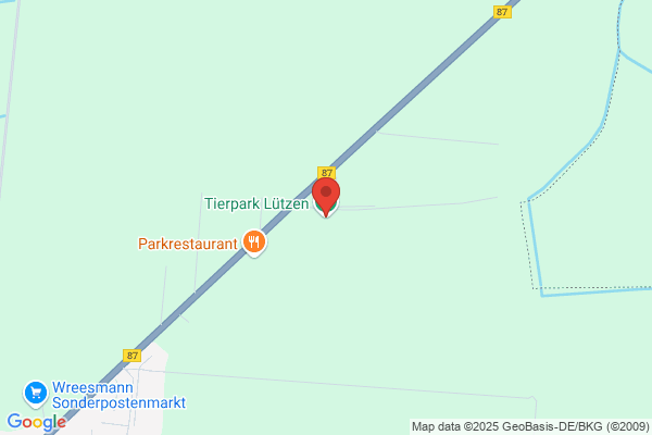 Melissa Kupitz